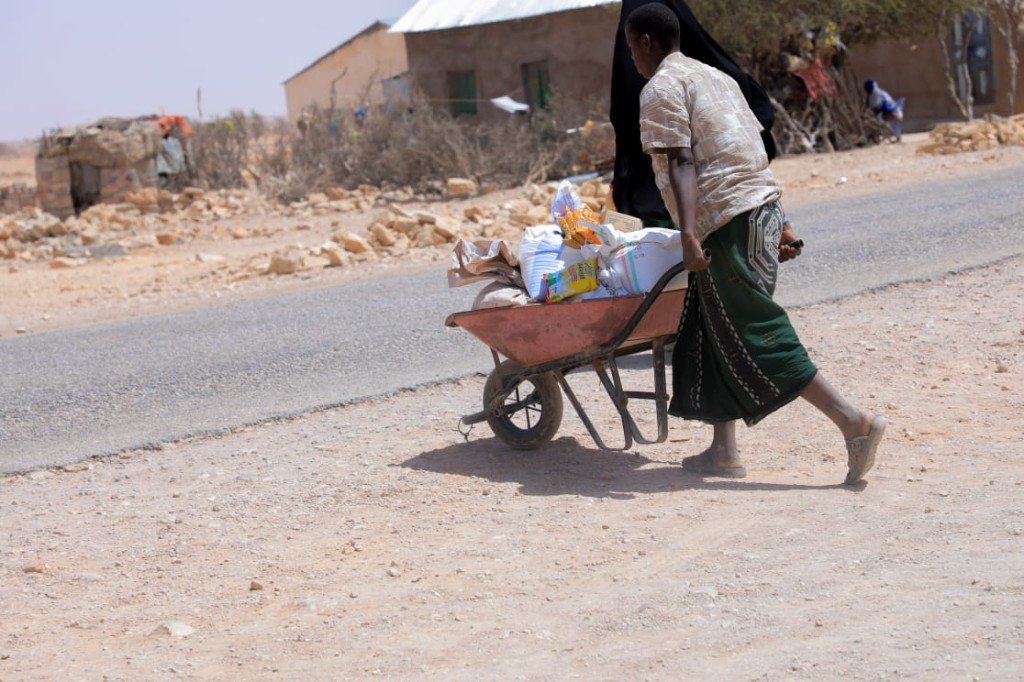 Volunteer delivering food aid by wheelbarrow to remote families